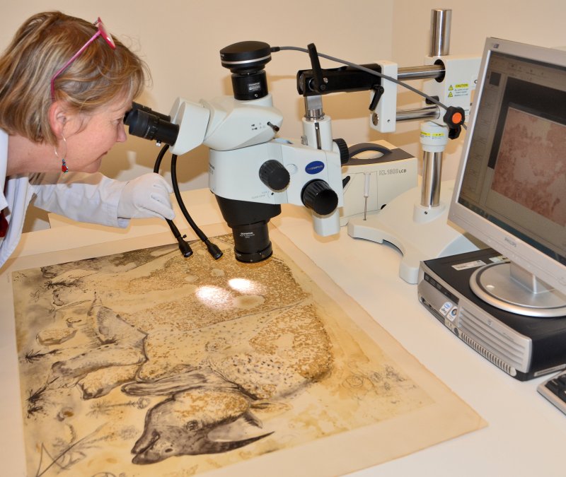 Observació amb lupa binocular per a la identificació tècnica de l’obra Rhinocéros (1968) © Salvador Dalí, Fundació Gala-Salvador Dalí, Figueres, 2025