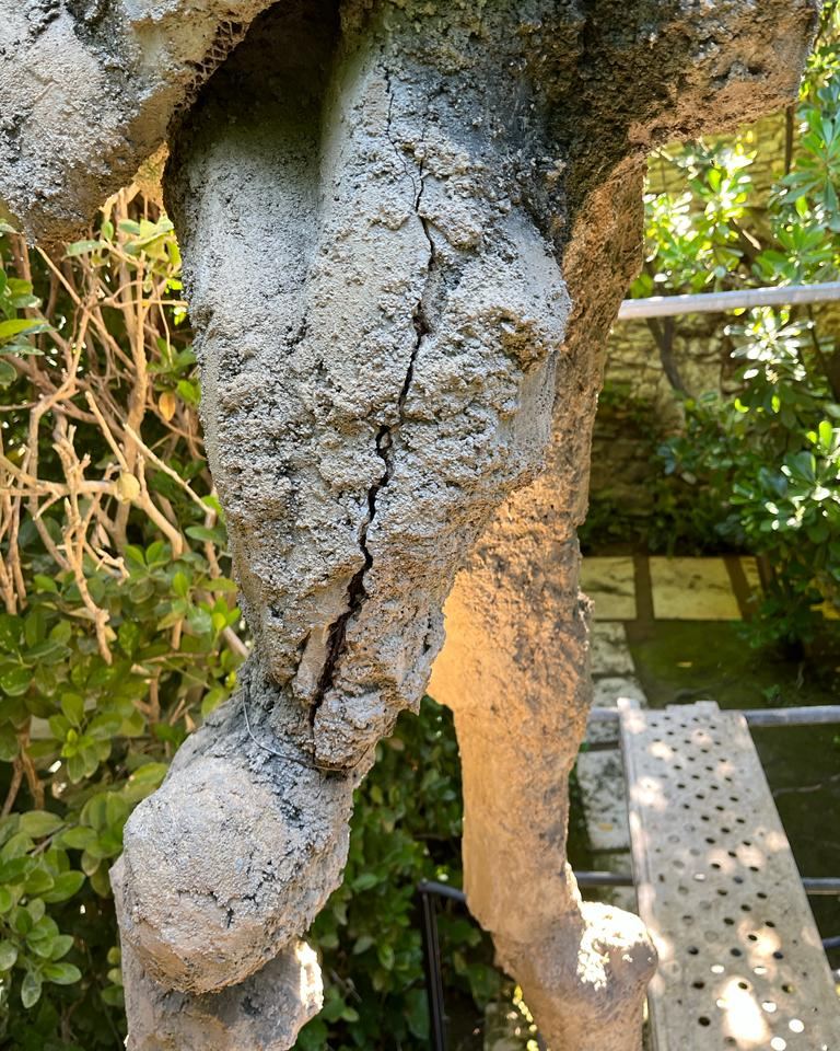 Durant una revisió s’observa l’esquerda en una de les cames d'un elefant.