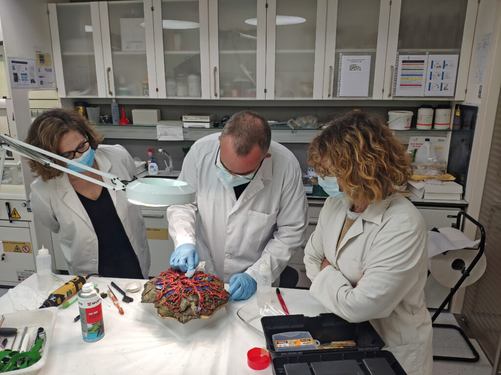 Inici de la restauració del mineral natural de pirita-marcassita de la base de la joia