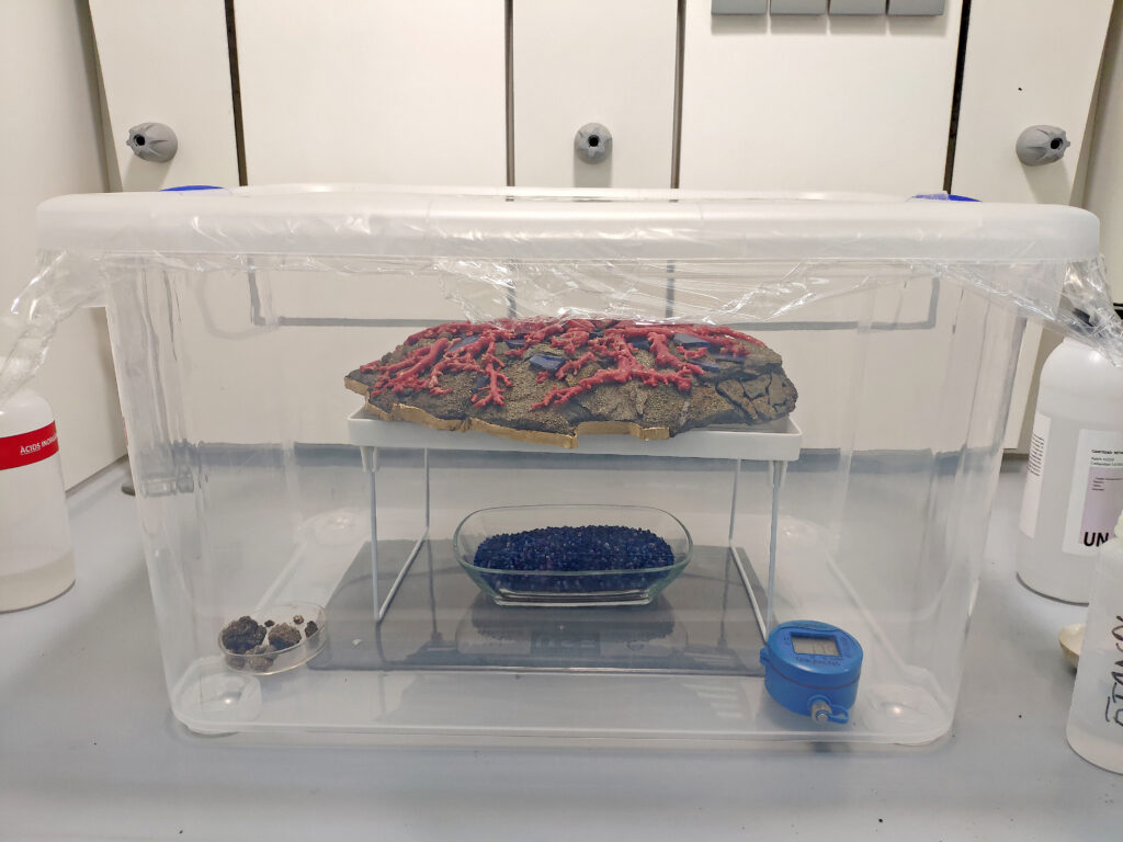 Procés de deshumidificació del mineral a fi de disminuir la humitat relativa