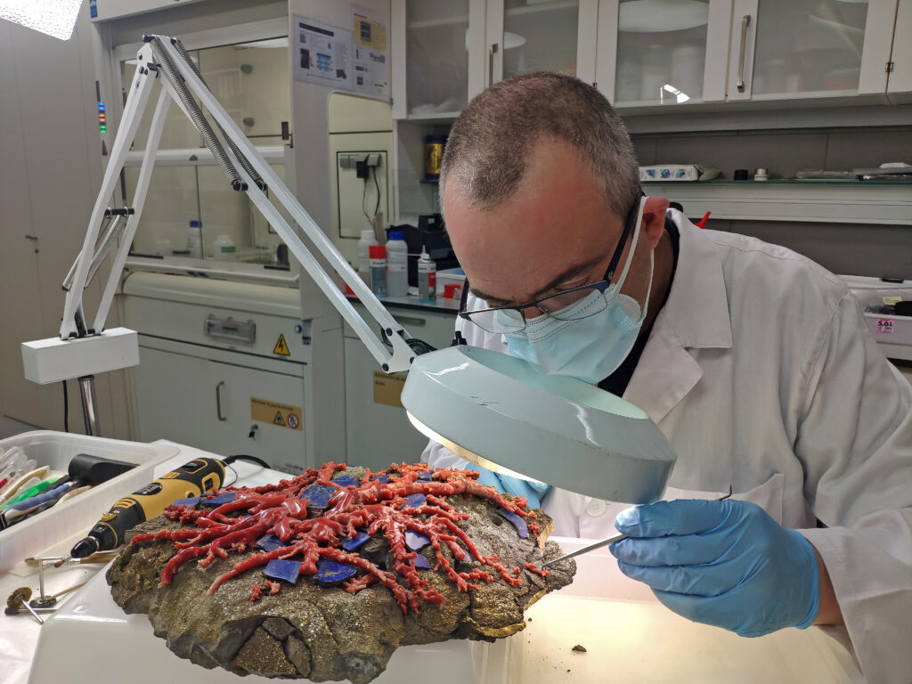 Consolidació de la pedra natura pirita-marcassita i dels fragments de corall i lapislàtzuli